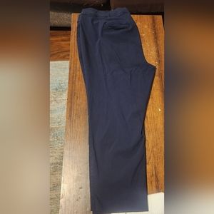 Lane Bryant Navy Pants Size 24W